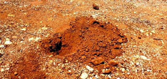 Deep-Digging-GPX-5000-metal-detector Deep-Digging-GPX-5000-metal-detector