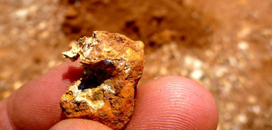Damaged 19 gram gold nugget - should have used the PRO-FIND 25 pinpointer Damaged 19 gram gold nugget - should have used the PRO-FIND 25 pinpointer